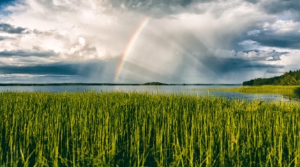 Luontokuvaus | Oulujärvi
